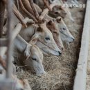 금천구정신건강복지센터 | 추천 금천구 요양원 로뎀복지요양원 치매 전문 요양원