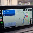 플레닝센터(주) | 강아지 뇌종양 치료 기록 [7] : 방사선 치료의 첫단계, 플래닝CT 과정부터 비용까지