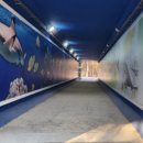 장암고가 이미지