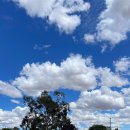 그리피스모텔 이미지