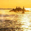 금빛바다 이미지