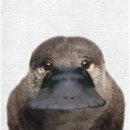 리뉴어의원 이미지