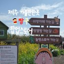 청수유치원 | 제주 짱구 팝업스토어 르벙쓸레브 방문후기 짱구 굿즈 천국