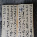 경광 이미지