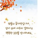 오늘의낭만 이미지
