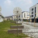 마장면 행정복지센터 이미지