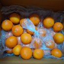 새별농장 이미지