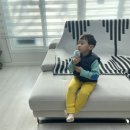 솔몰아 펜션/민박 이미지