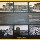 도미네로 이미지