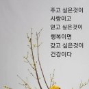 포근한병원 이미지