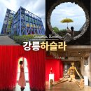 피노키오박물관(하슬라아트월드) | 강원도 강릉 실내 가볼만한곳 하슬라아트월드 데이트 피노키오박물관