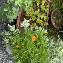 마음애고향 이미지