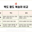 백도가면
