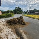 대광농장 이미지