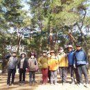 섬지유통 Daum카페