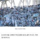 임영웅 없이 고향팀 대구 응원하러가는 영웅시대 이미지