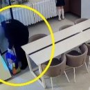 담아가