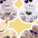 모루인형 만들기 이미지