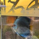 [퇴근길] 아로마테라피 이미지