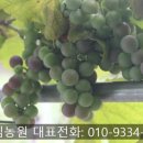 수림꽃농원 이미지