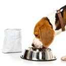 킴스덴탈 이미지