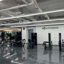 윌 휘트니스 이미지