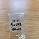 동산종묘 이미지