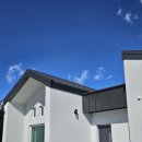 별달보라 이미지