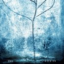 추억향기 이미지