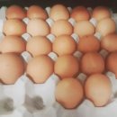 용암불한증막 이미지