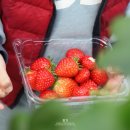 한사랑농장 이미지