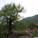 양강우체국 이미지