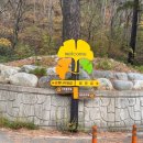 은행나무숲 입구 이미지