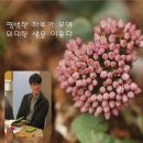 (주)세종기술단 이미지