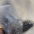 올댓모바일 | 2024 2P게임아케이드 올댓마인드 방문후기 (뽑기 2등 당첨!)