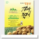 서산전단 미디어