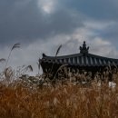 청계산의아침 Daum카페