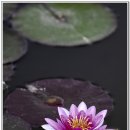 생림중학교 이미지