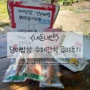 댕이밥상 | <내돈내산> 댕이밥상 수제간식 솔직한 급여후기♥︎