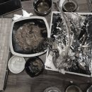 털보고된이 | 노원 맛집 털보고된이 내돈내산 후기