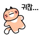 메이저크리닝 - 화성시 효행로 1076-8 | 메이저크리닝
