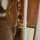 애월다락방 이미지