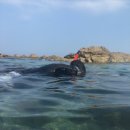 미래대게식당 이미지