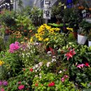 올림픽공원역 이미지