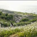 변산해수욕장 이미지