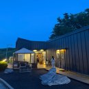 트리캠핑장 | 대부도 영흥도 캠핑장 글램핑 추천 수영장 있는 블랙트리캠핑장 솔직후기 내돈내산