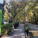 대산평생교육센터 | [3년 전 오늘] &lt;발달장애인 성교육&gt; 노원발달장애인평생교육센터 성교육 장정륜강사 출강후기