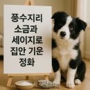 사람을 보는 지혜 - 풍수지리와 상학 | 풍수지리 소금·세이지로 집안 기운 바꾸는 정화법 완벽정리