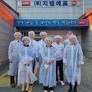 일조유통