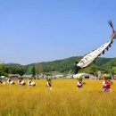 밀밭 - 군포시 | 밀밭